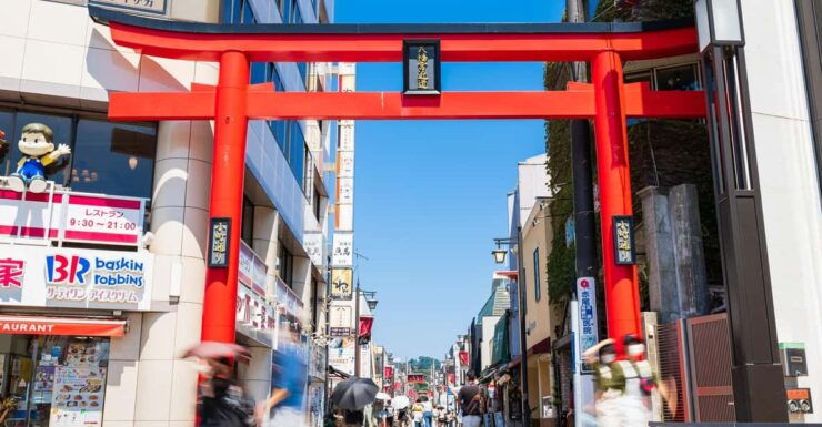 A Tour to Eat up All the Delicacies of Japan in Kamakura - Good To Know