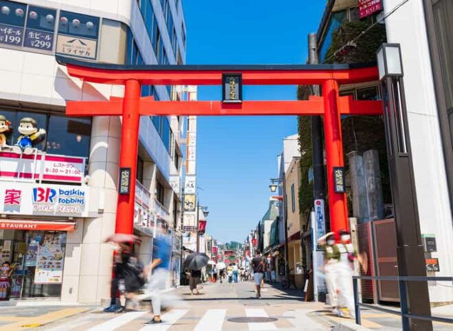 A Tour to Eat up All the Delicacies of Japan in Kamakura - Itinerary Highlights