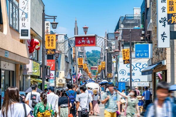 A Tour to Eat up All the Delicacies of Japan in Kamakura - Whats Included in the Tour