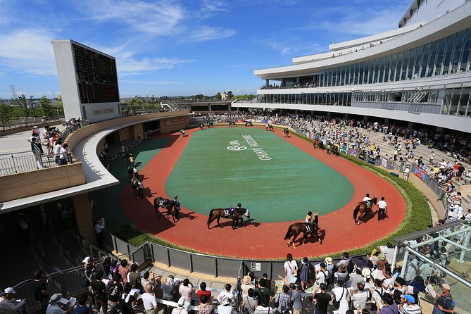 A Tour to Enjoy Japanese Official Gambling (Horse Racing, Bicycle Racing, Pachinko) - Review Breakdown and Checks