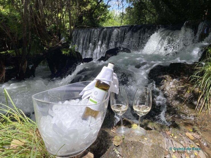 A Trip Through the "Vinhos Verdes" of the Basto Region - Basto Region Wine Tour Overview