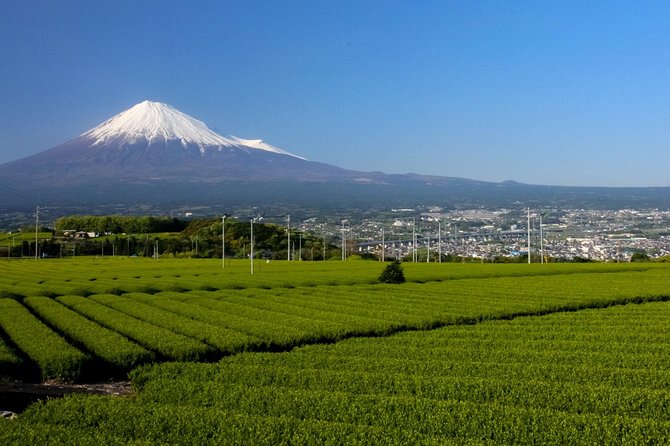 A Trip to Enjoy Subsoil Water and Nature Behind Mt. Fuji - Cancellation Policy