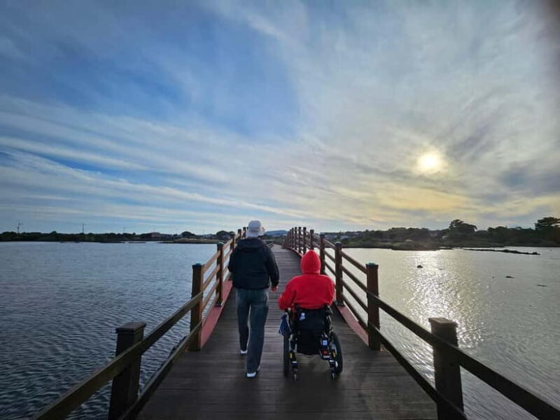 a trip to Jeju Island in a wheelchair (WHEELCHAIR TOUR) - Navigating Jeju’s Natural Wonders