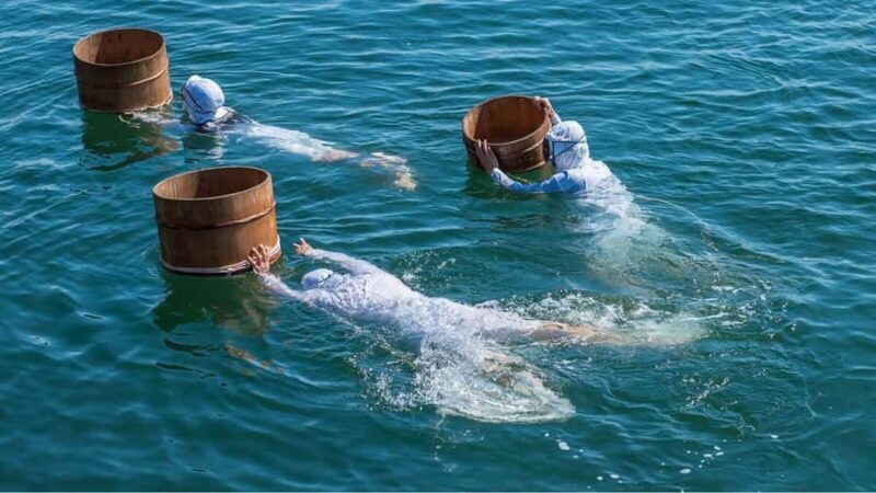 A trip to visit Ise Grand Shrine and experience Ama culture - Discover the Charm of Ise and Ama Culture in a Day Tour