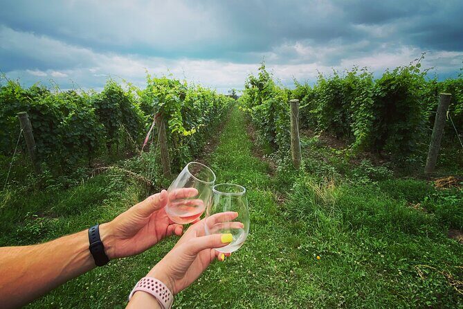 A Twilight Wine Adventure with 3-Course Dinner - A Detailed Look at the Tour Experience