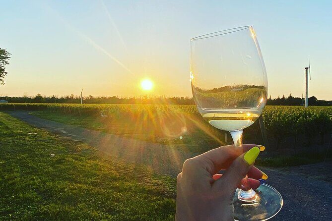 A Twilight Wine Adventure with 3-Course Dinner - Final Thoughts