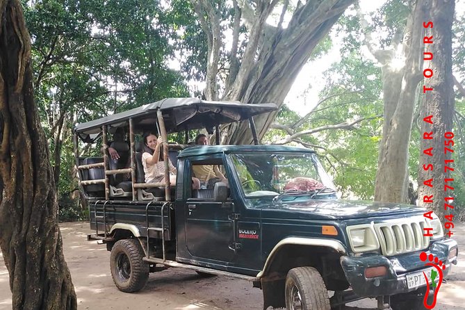 A Udawalawa Park Safari, Day Tour From Colombo (All Inclusive Tour ) - Tour Overview