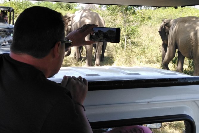 A Udawalawa Park Safari, Day Tour From Colombo (All Inclusive Tour ) - Traveler Tips