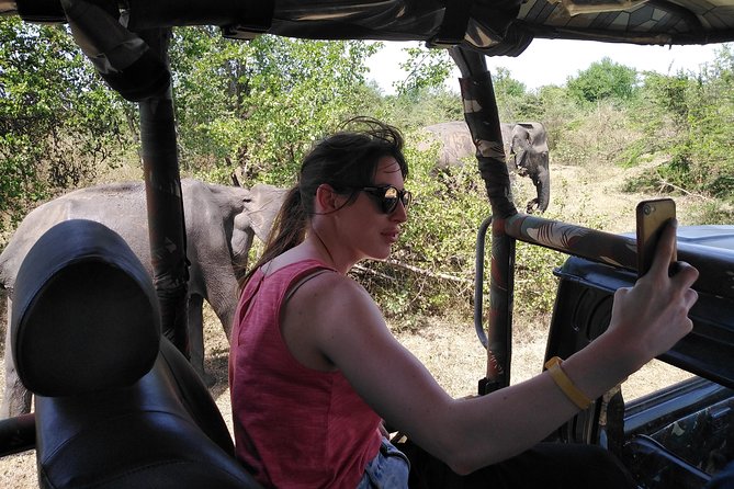 A Udawalawa Park Safari, Day Tour From Colombo (All Inclusive Tour ) - Questions and Help