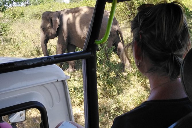 A Udawalawa Park Safari, Day Tour From Colombo (All Inclusive Tour ) - Tour Overview