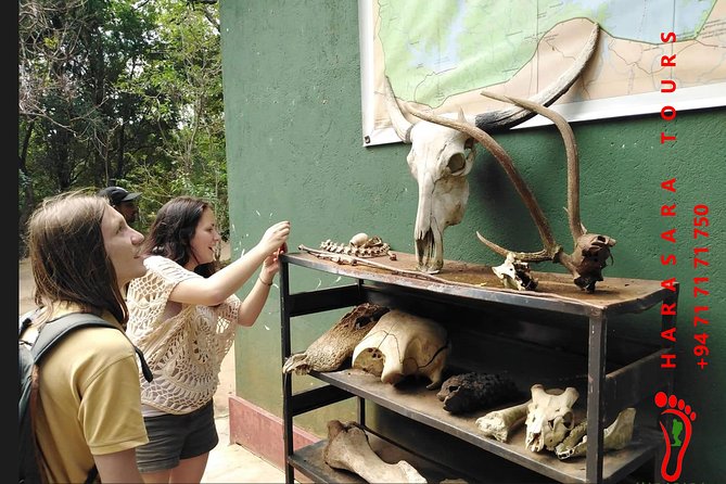 A Udawalawa Park Safari, Day Tour From Colombo (All Inclusive Tour ) - Questions and Help