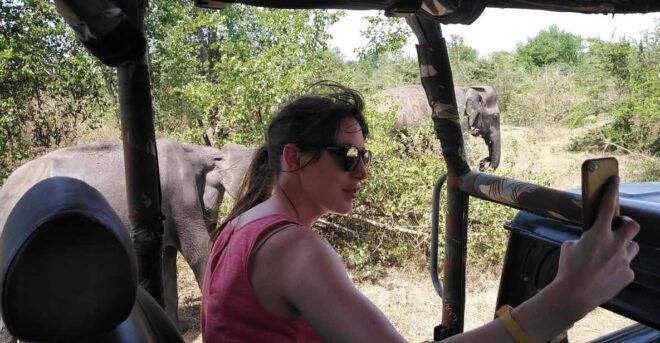 A Udawalawa Safari Tour (All Inclusive - Colombo/Galle) - Inclusions of the Tour