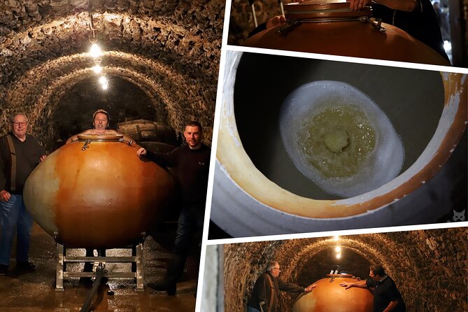 A Unique Sensory Experience in the Vineyards - Exploring the Private Vineyard and Cellar
