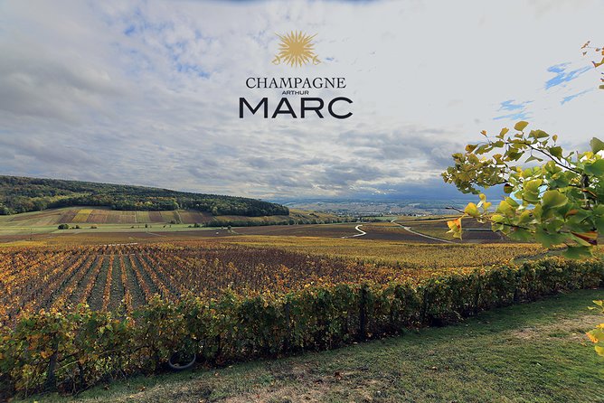 A Unique Sensory Experience in the Vineyards - Captivating Traveler Photos