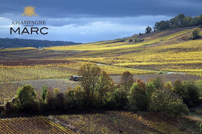 A Unique Sensory Experience in the Vineyards - Rave Reviews From Viator Travelers