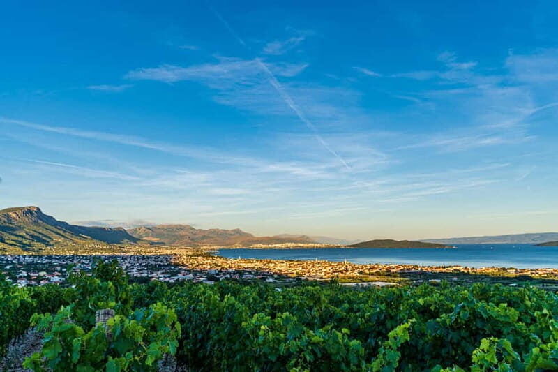 A Vineyard Feast: A Group Dinner and Wine Tasting - Good To Know