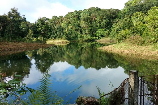 A Walk in the Clouds - Walking Holiday in Khasi Hills, Meghalaya, India - Destination Overview