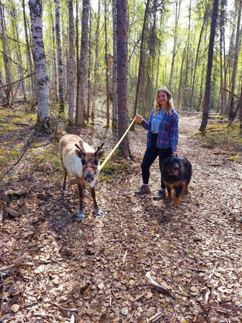 A Walk in the Woods...with Reindeer! - Discover Arctic Plants and Fungi