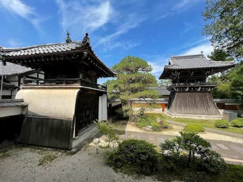 A Walk Through Suwa Shrine & Kofuku-ji Temple - Who Will Enjoy This Tour?