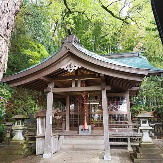 A Walk Through Suwa Shrine & Kofuku-ji Temple - Practicalities and Tips