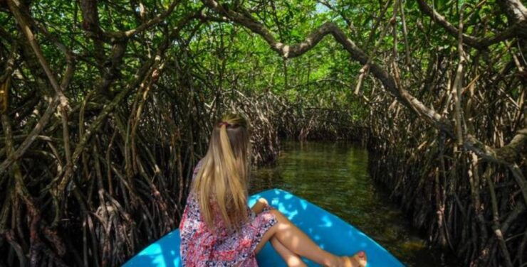 A Week in Paradise: Romantic Honeymoon Getaway - Booking and Reservation Details