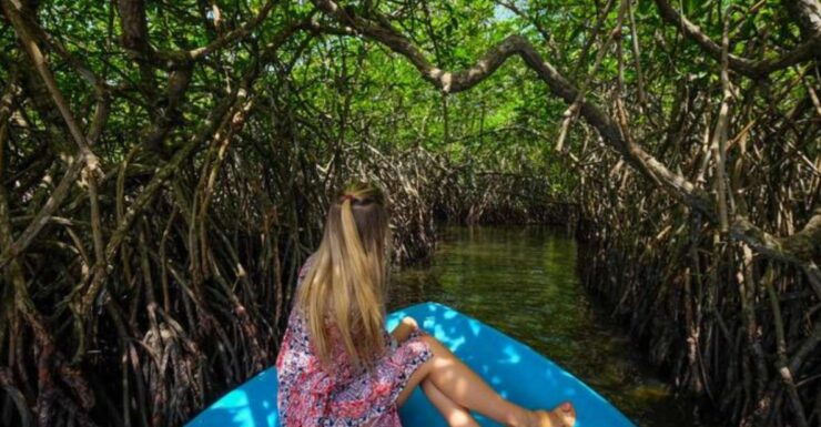 A Week in Paradise: Romantic Honeymoon Getaway - Experience Highlights