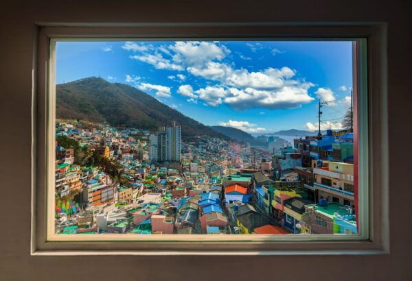 A Well-Rounded Small Group Busan Tour With a Certified Guide - Accessibility Options
