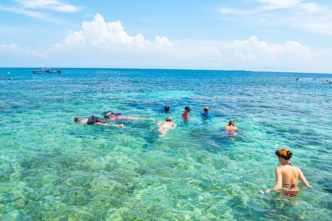 A Whole Day to the 5 Rosario Islands With Snorkeling and Plankton - Tour Details