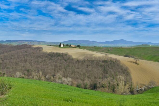 A Wine Bliss in Montalcino, Montepulciano, Val DOrcia - Experience Description