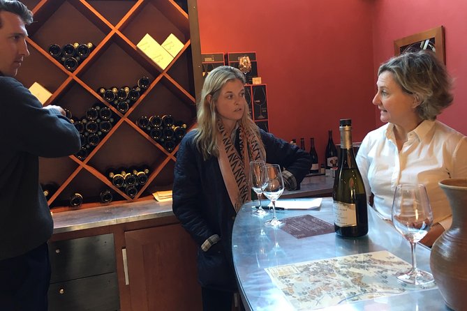 A Winey Day Out: Sauvignon Blanc Wine Tour of Sancerre and Pouilly-Fumé - Tour Highlights
