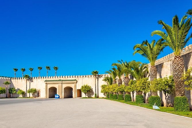 A Wonderful Private Day Trip to Volubilis, Moulay Driss Zarhoun, Meknès From Fez - Review Count and Overall Rating