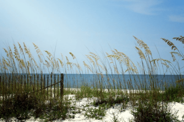 A1A Scenic Byway: Self-Guided Driving Audio Tour - Duration and Starting/Ending Points