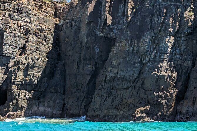 AAA Noosa National Park Tour and Dolphin Safari Whalesongsnoosa - An In-Depth Look at the Noosa Marine Tour