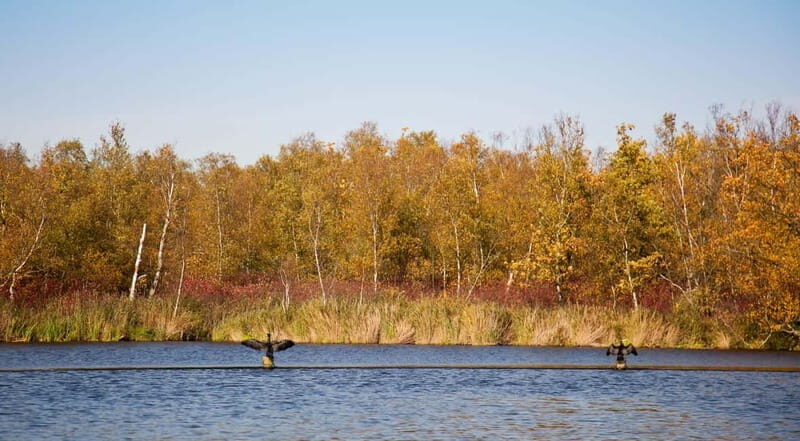 Aalsmeer: Traditional Dutch Barge Lake Cruise - Highlights of the Experience