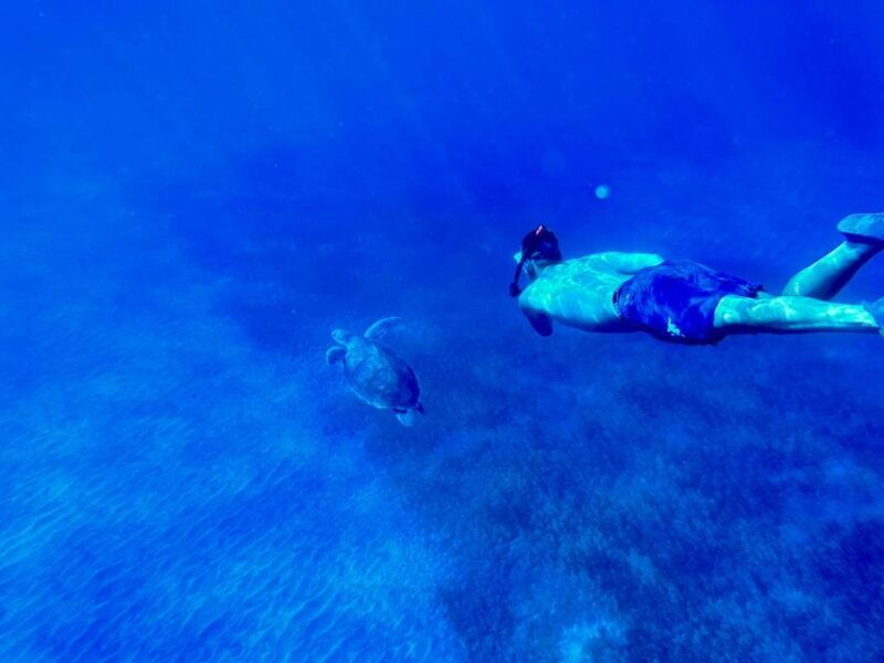 Abades: Guided Snorkeling Tour With Photos - Good To Know