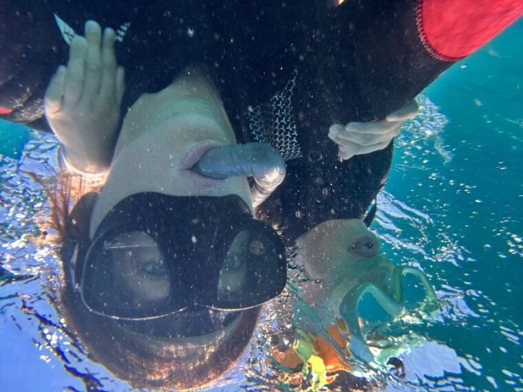 Abades: Guided Snorkeling Tour With Photos - Safety Considerations