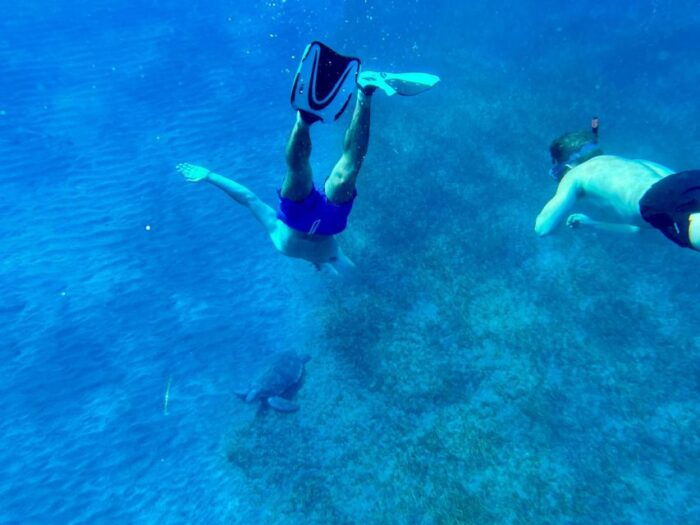 Abades: Guided Snorkeling Tour With Photos - Customer Feedback and Ratings