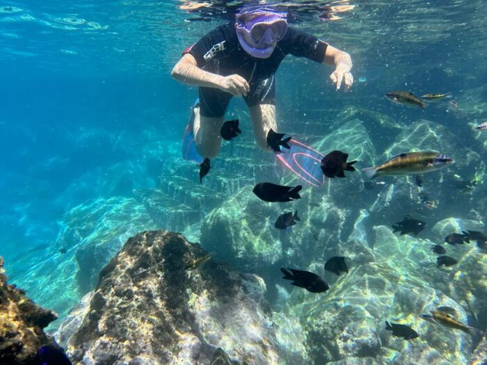 Abades: Guided Snorkeling Tour With Photos - Why Choose This Snorkeling Tour?