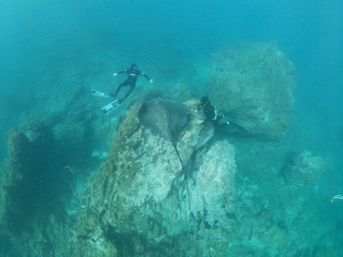 Abades: Tenerife Turtles and Rays Snorkeling Trip - Age Restrictions and What to Bring