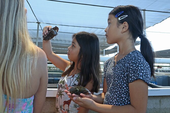 Abalone Farm Tour - Admission and Operator Information