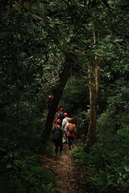 Abandoned Valley Adventure - E Cave & Golden Cave - 1D - Inclusions