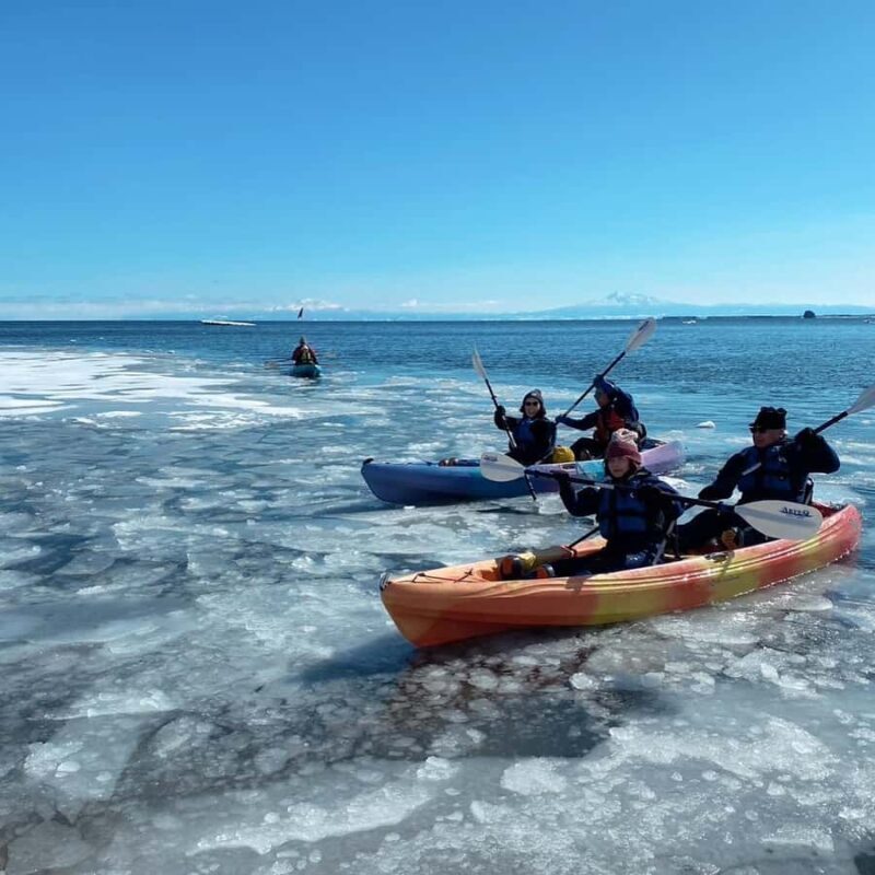 Abashiri: Drift Ice Kayaking Adventure - What You’ll Experience