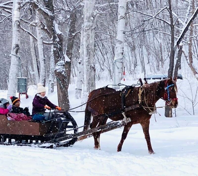 Abashiri: Horse-Drawn Sleigh Ride & Making Local Cuisine - The Cooking Class: Making Traditional Hokkaido Dishes
