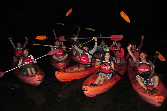 Abatan River Firefly Kayak Trip With Dinner and Transfers (Feb ) - Pricing and Duration