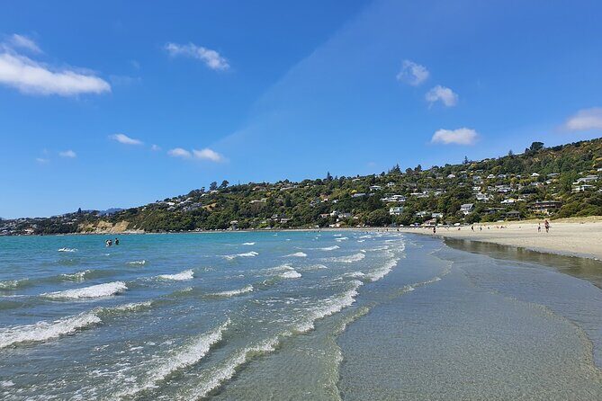 Abel Tasman Adventure Private Tour from Nelson Cruise Port - Discovering Abel Tasman on a Private Tour