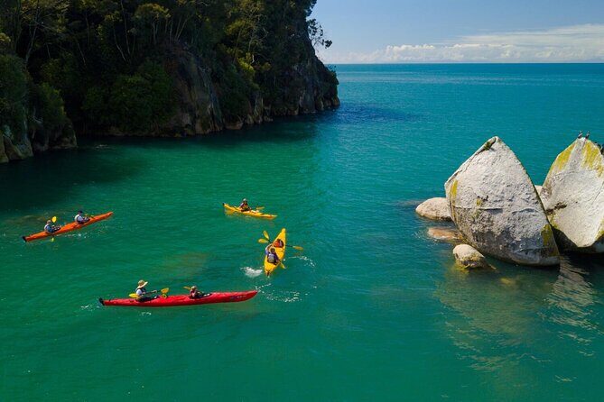 Abel Tasman Adventure Private Tour from Nelson Cruise Port - Practical Details & Tips