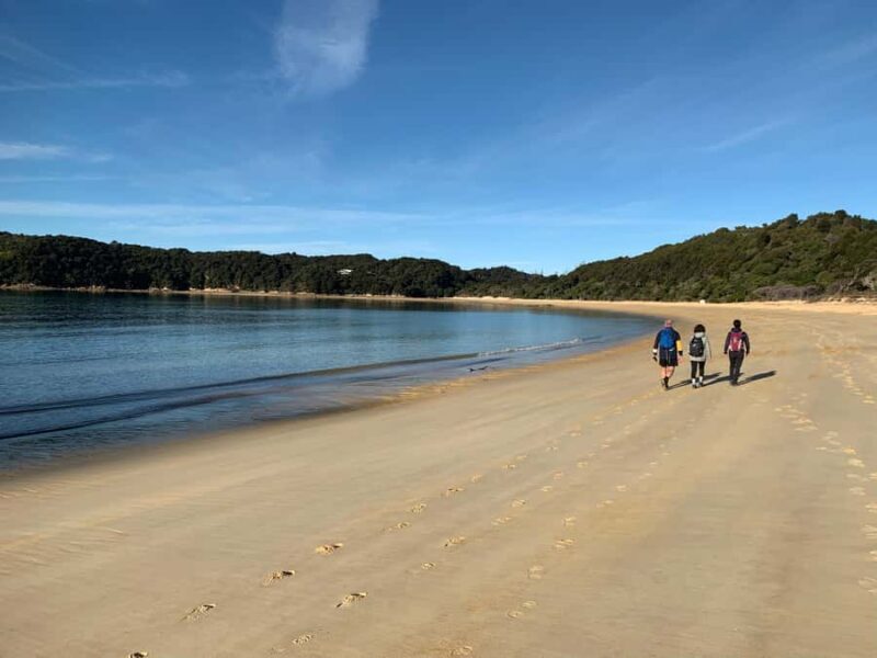 Abel Tasman National Park: Cruise and Hike Full-Day Tour - FAQs
