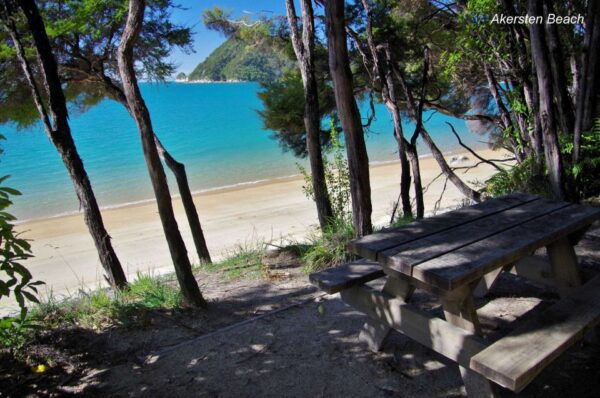 Abel Tasman National Park Cruise and Walking Tour Combo - Customer Reviews