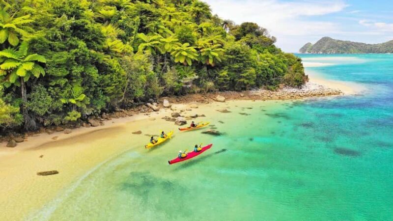 Abel Tasman National Park: Cruise, Kayak, & Hike Tour - An In-Depth Look at the Abel Tasman Experience
