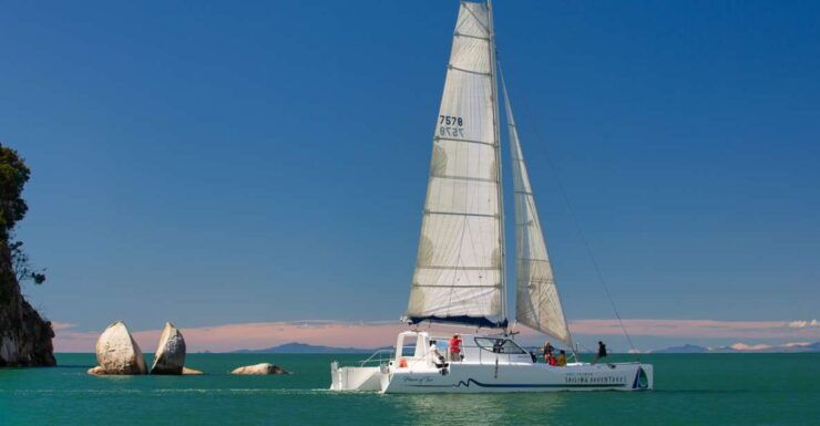 Abel Tasman National Park: Day Sailing Adventure With Lunch - Experience Highlights